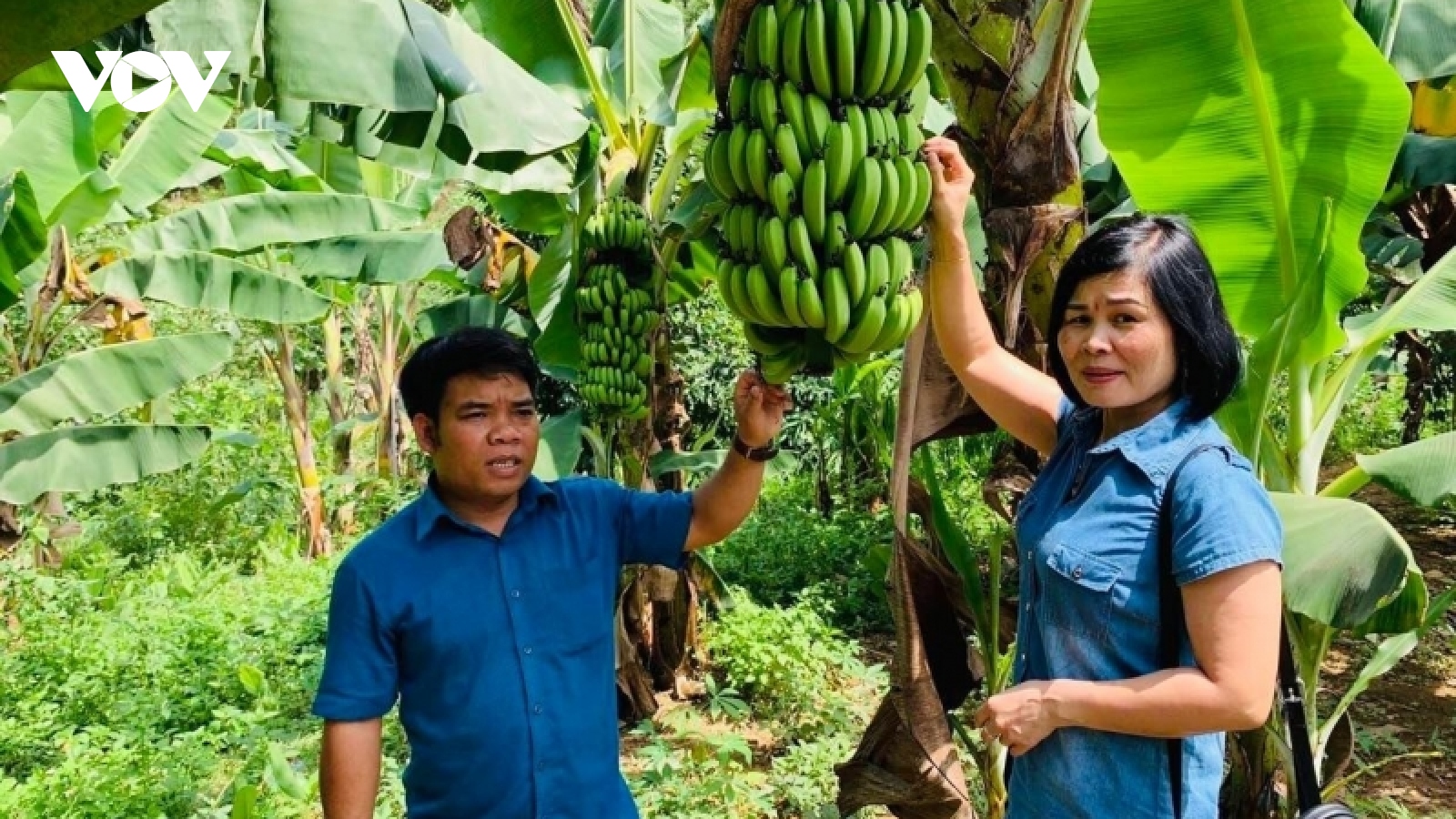 Thừa Thiên Huế tập trung nguồn lực giúp A Lưới thoát nghèo